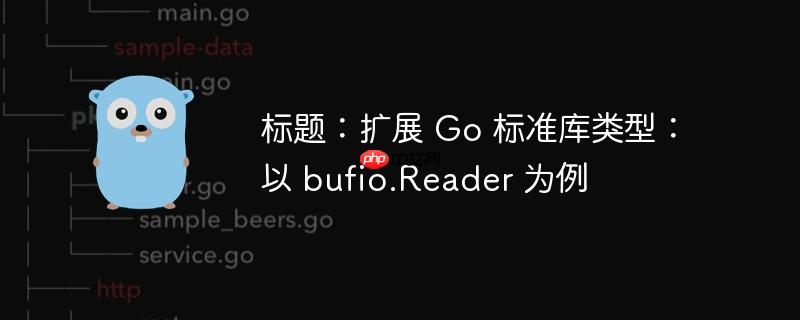 标题：扩展 Go 标准库类型：以 bufio.Reader 为例