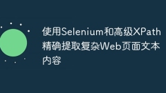 使用Selenium和高級(jí)XPath精確提取複雜Web頁(yè)面文本內(nèi)容