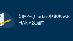 如何在Quarkus中使用SAP HANA數(shù)據(jù)庫(kù)