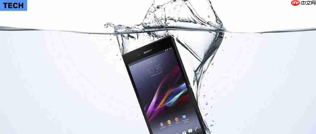 你的防水手机不会永远防水