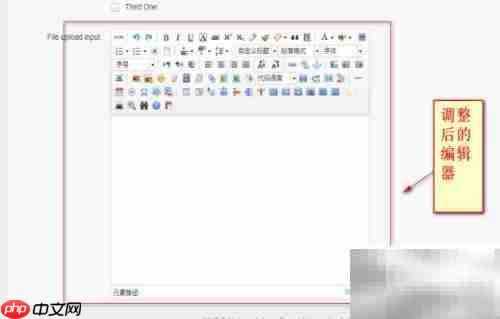 UEditor使用指南与注意事项