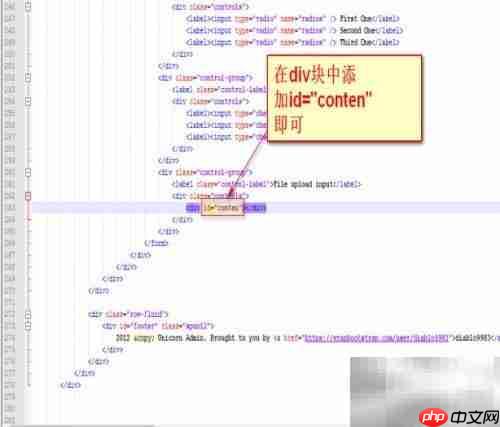 UEditor使用指南与注意事项