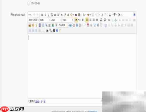 UEditor使用指南与注意事项