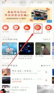 网易云音乐手机版电台播放指南