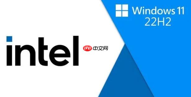 Win11系统运行浏览器等软件卡顿黑屏的解决方法