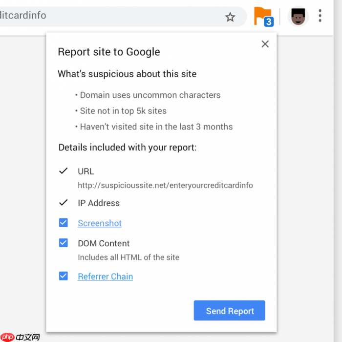 Google为安全浏览服务推专属Chrome扩展