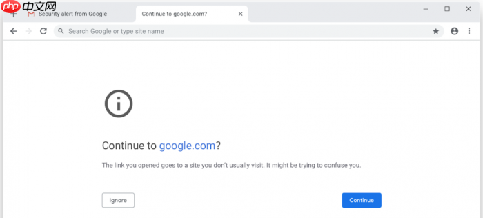 Google为安全浏览服务推专属Chrome扩展