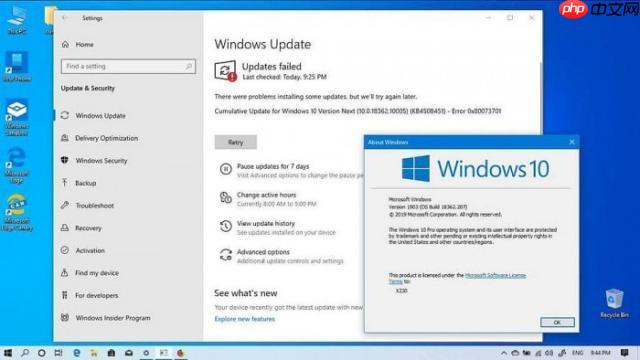 Win10更新KB4524570无法安装