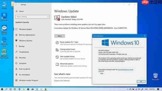 Win10更新KB4524570无法安装