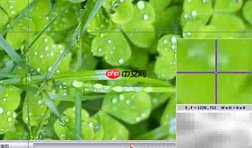 FastStone录屏操作指南