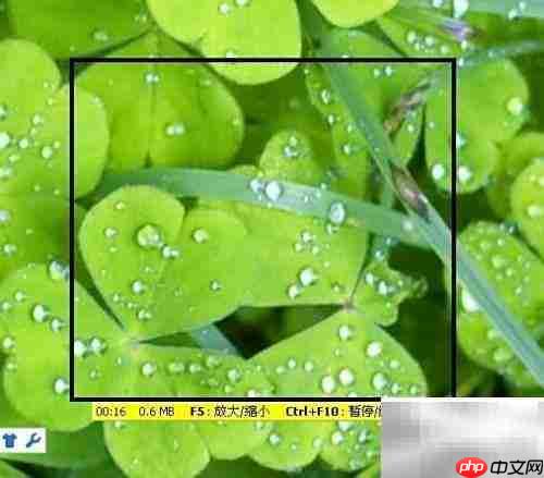 FastStone录屏操作指南