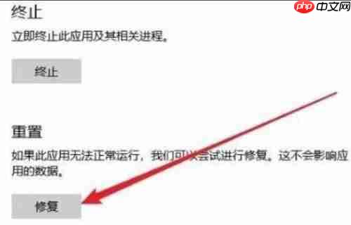Win11无法启动浏览器 Win11自带浏览器打不开怎么办