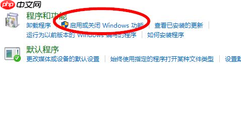 Win10电脑如何安装IIS？Win10电脑安装IIS详细步骤教程