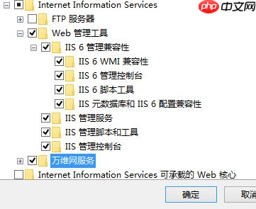 Win10电脑如何安装IIS？Win10电脑安装IIS详细步骤教程