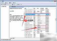 如何设置Mozilla维护服务