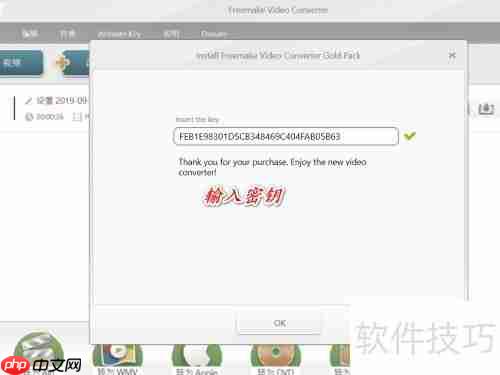 Freemake视频转换器密钥激活指南