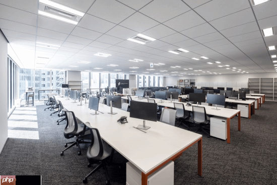 腾讯日本光子工作室现状公开！《龙之信条》制作人领导