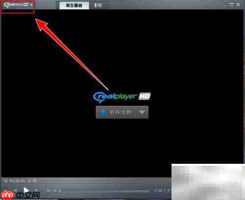 realplayer降低cpu使用率技巧