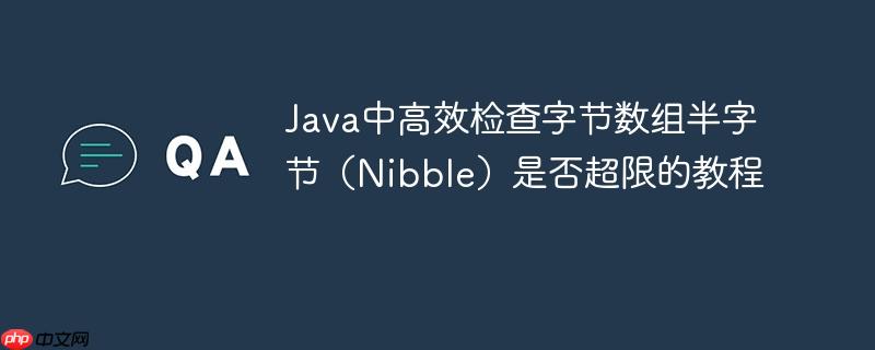 Java中高效检查字节数组半字节（Nibble）是否超限的教程