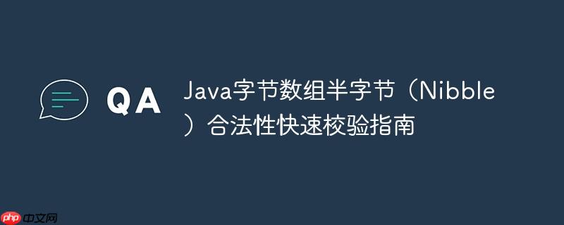 Java字节数组半字节（Nibble）合法性快速校验指南