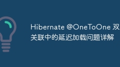 Hibernate @onetoone Penjelasan terperinci mengenai masalah pemuatan malas dalam persatuan dua hala