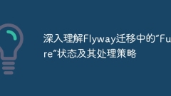 Deeply understand the 'Future' state and its processing strategies in Flyway migration