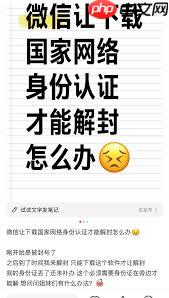 国家网络身份认证如何解封微信