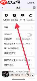 如何设置qq音乐个人偏好