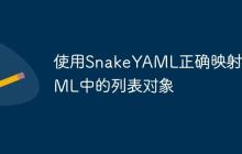 使用SnakeYAML正確映射YAML中的列表對象