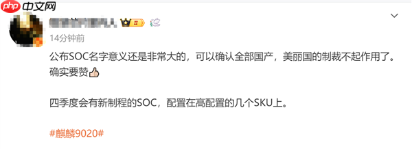 5nm可期！消息称华为今年四季度发布麒麟9030：会有几个型号