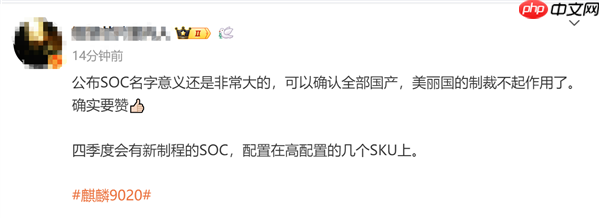 5nm可期!消息称华为今年四季度发布麒麟9030:会有几个型号