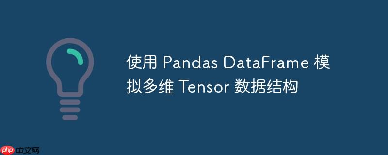 使用 pandas dataframe 模拟多维 tensor 数据结构