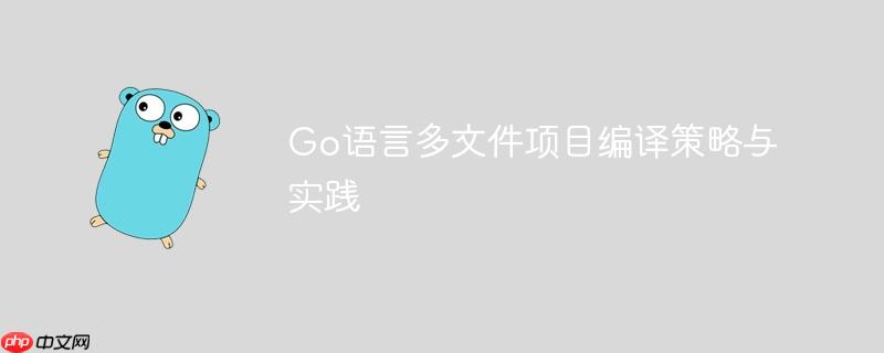 Go语言多文件项目编译策略与实践
