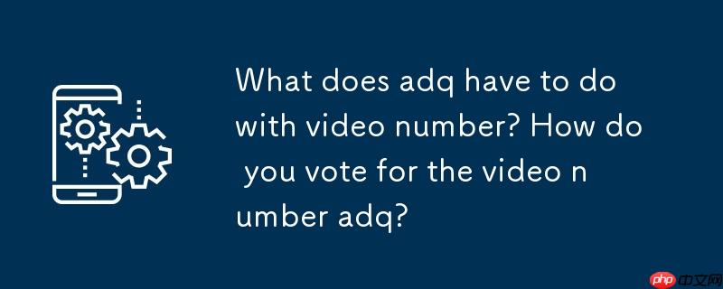 adq和视频号有什么关系?视频号adq怎么投?