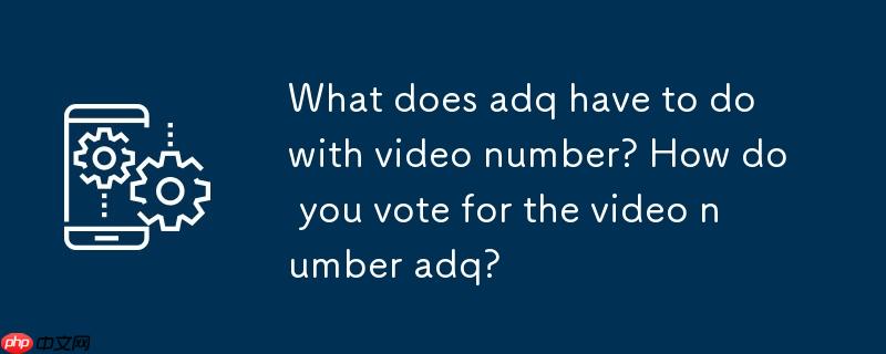 adq和视频号有什么关系?视频号adq怎么投?