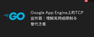 Google App Engine上的TCP监听器：理解其网络限制与替代方案