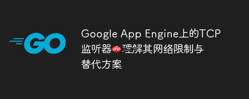 Google App Engine上的TCP监听器:理解其网络限制与替代方案