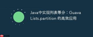 Java中实现列表等分：Guava Lists.partition 的高效应用