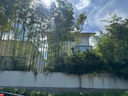 非必要不会面 韩媒曾欲拜访《黑神话》工作室被婉拒