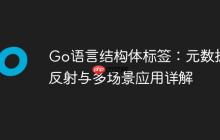 Go语言结构体标签:元数据、反射与多场景应用详解