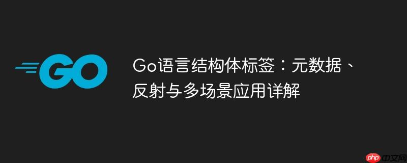 Go语言结构体标签:元数据、反射与多场景应用详解