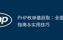 PHP枚举值获取：全面指南与实用技巧