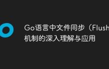 Go语言中文件同步（Flush）机制的深入理解与应用