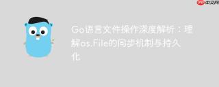 Go语言文件操作深度解析：理解os.File的同步机制与持久化