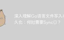 深入理解Go语言文件写入与持久化：何时需要Sync()？