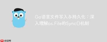 Go语言文件写入与持久化：深入理解os.File的Sync()机制