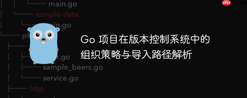 Go 项目在版本控制系统中的组织策略与导入路径解析