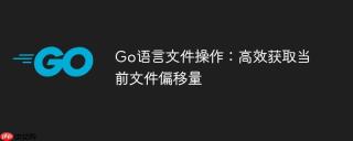 Go语言文件操作：高效获取当前文件偏移量