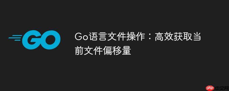 Go语言文件操作:高效获取当前文件偏移量