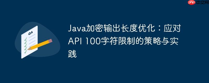 Java加密输出长度优化：应对API 100字符限制的策略与实践